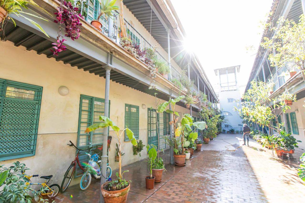Apartamento 3 Dormitorios En Calle San Vicente. Sevilla Exteriör bild