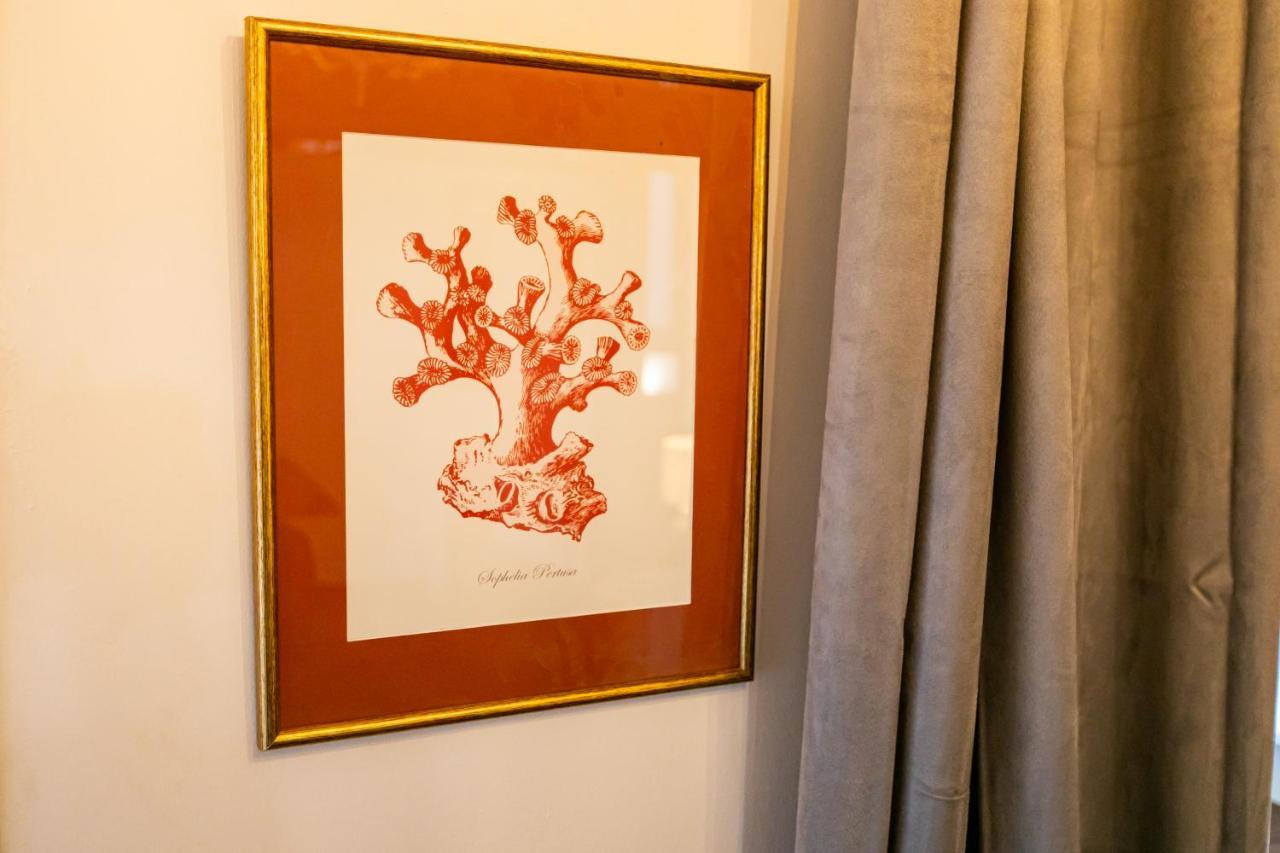 Apartamento 3 Dormitorios En Calle San Vicente. Sevilla Exteriör bild